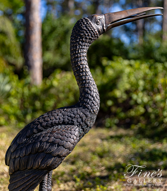 Bronze Fountains  - Large Tropical Bird In Bronze - BF-524