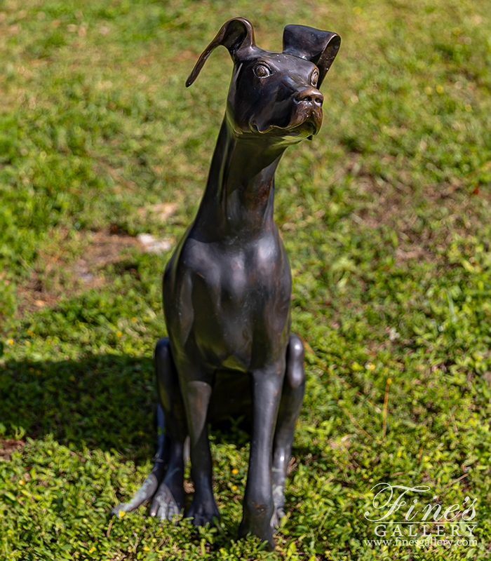 Bronze Statues  - Great Dane Bronze Statue - BS-1069