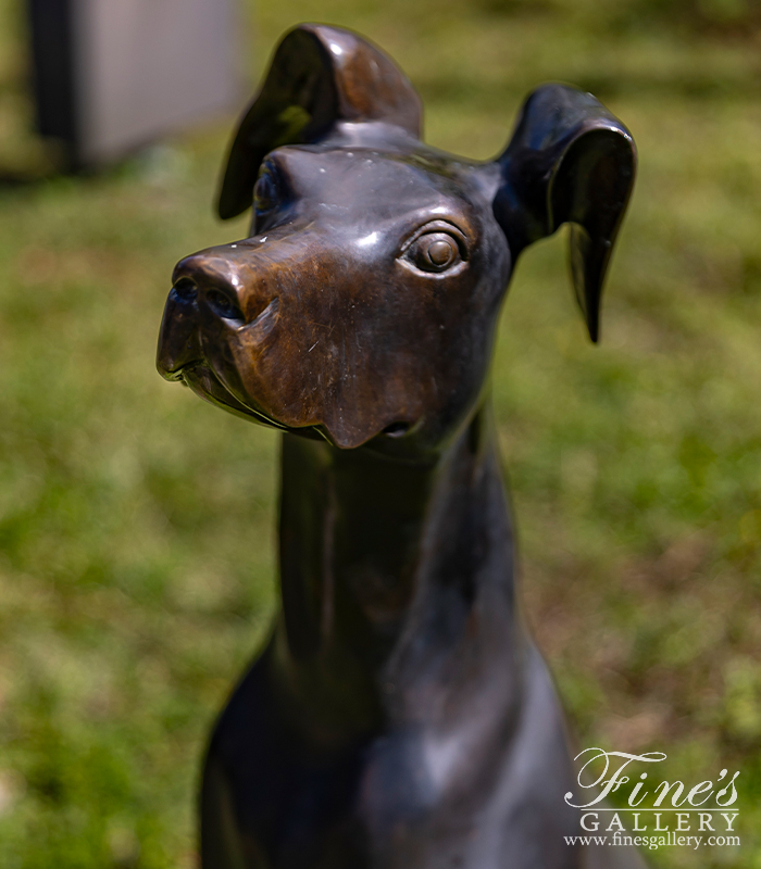 Bronze Statues  - Great Dane Bronze Statue - BS-1069