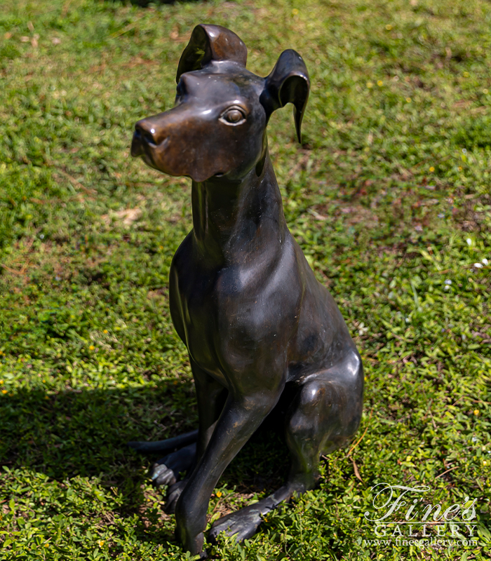 Bronze Statues  - Great Dane Bronze Statue - BS-1069