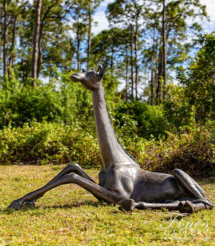 Bronze Statues  - Resting Giraffe Statue In Bronze - BS-453