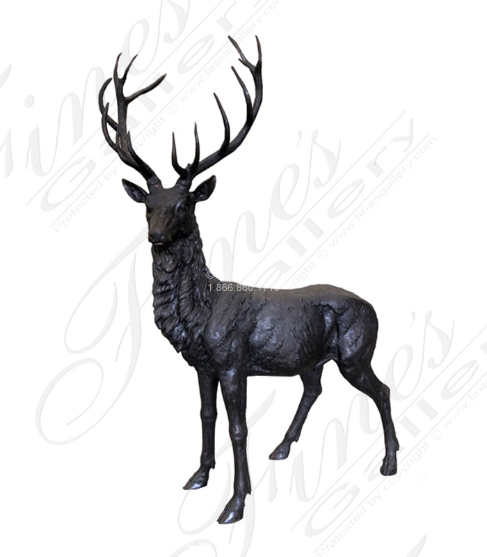 Spectacular Elk in Classic Bronze