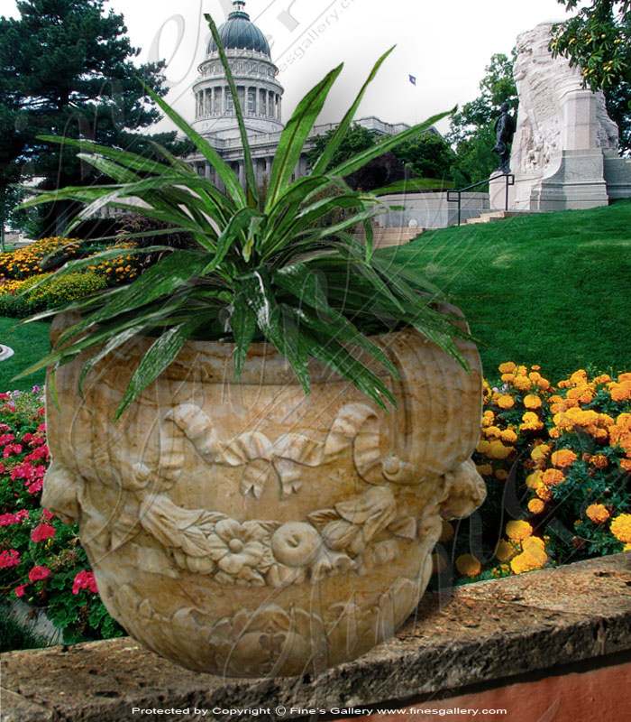 calcium Planter